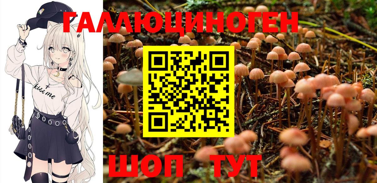 Искитим  Галлюциногенные грибы Cubensis  Вход с VPN  цена   Псилоцибиновые грибы мухоморы 