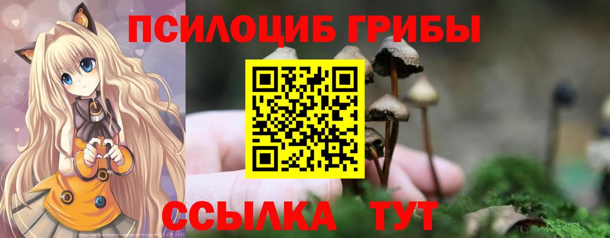 Псилоцибиновые грибы Cubensis Искитим